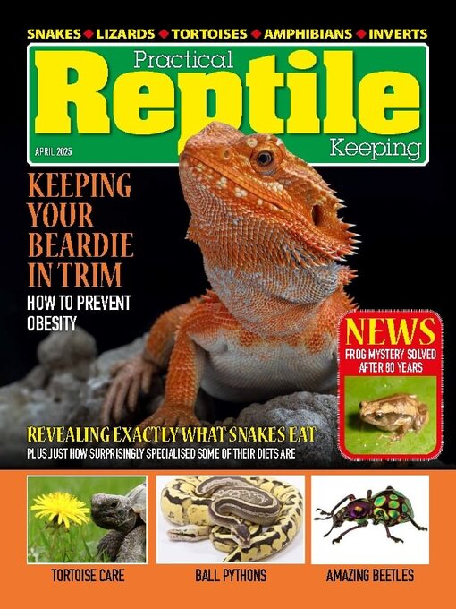 Title details for Practical Reptile Keeping by David Alderton - Available